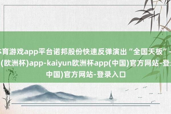 体育游戏app平台诺邦股份快速反弹演出“全国天板”-kaiyun(欧洲杯)app-kaiyun欧洲杯app(中国)官方网站-登录入口