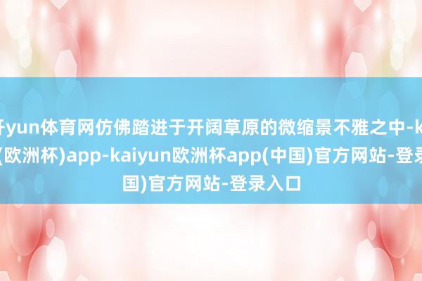 开yun体育网仿佛踏进于开阔草原的微缩景不雅之中-kaiyun(欧洲杯)app-kaiyun欧洲杯app(中国)官方网站-登录入口
