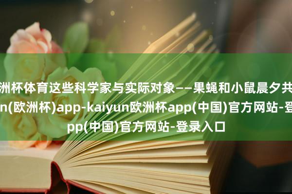 欧洲杯体育这些科学家与实际对象——果蝇和小鼠晨夕共处-kaiyun(欧洲杯)app-kaiyun欧洲杯app(中国)官方网站-登录入口