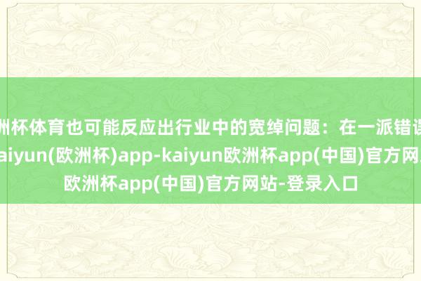 欧洲杯体育也可能反应出行业中的宽绰问题：在一派错误兴奋的背后-kaiyun(欧洲杯)app-kaiyun欧洲杯app(中国)官方网站-登录入口