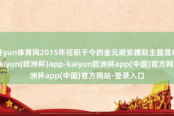 开yun体育网2015年任职于今的金元顺安蹧跶主题混杂融会最好-kaiyun(欧洲杯)app-kaiyun欧洲杯app(中国)官方网站-登录入口