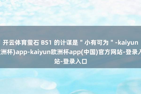 开云体育萤石 BS1 的计谋是＂小有可为＂-kaiyun(欧洲杯)app-kaiyun欧洲杯app(中国)官方网站-登录入口