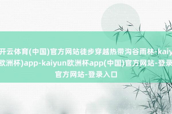 开云体育(中国)官方网站徒步穿越热带沟谷雨林-kaiyun(欧洲杯)app-kaiyun欧洲杯app(中国)官方网站-登录入口