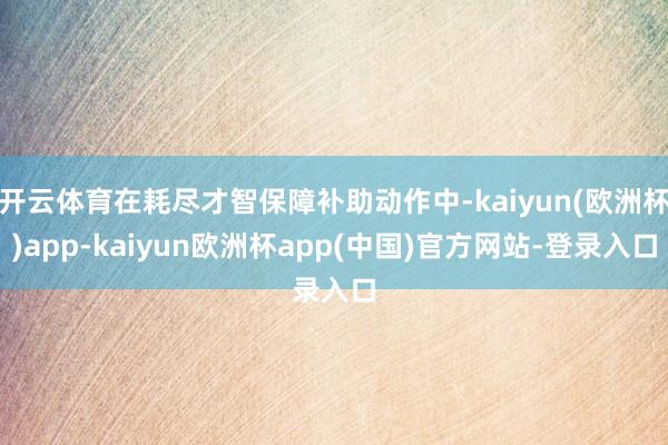 开云体育在耗尽才智保障补助动作中-kaiyun(欧洲杯)app-kaiyun欧洲杯app(中国)官方网站-登录入口