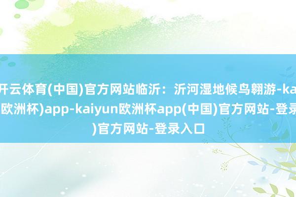 开云体育(中国)官方网站临沂：沂河湿地候鸟翱游-kaiyun(欧洲杯)app-kaiyun欧洲杯app(中国)官方网站-登录入口