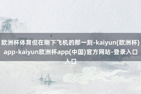 欧洲杯体育但在刚下飞机的那一刻-kaiyun(欧洲杯)app-kaiyun欧洲杯app(中国)官方网站-登录入口