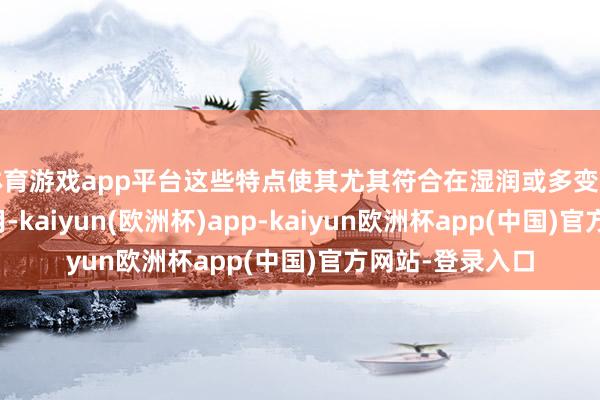体育游戏app平台这些特点使其尤其符合在湿润或多变的表象环境中使用-kaiyun(欧洲杯)app-kaiyun欧洲杯app(中国)官方网站-登录入口