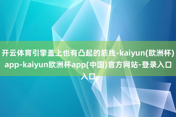 开云体育引擎盖上也有凸起的筋线-kaiyun(欧洲杯)app-kaiyun欧洲杯app(中国)官方网站-登录入口
